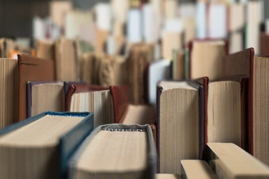 Image de capa do post Descubra 5 dicas de como organizar e armazenar livros em espaços pequenos
